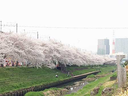 ~社内ぷち自慢~ また、この時期がやってきました！今年はちょっと早めです。