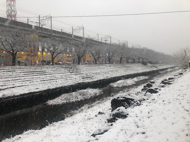 ラニーニャ現象の予報通り1月6日には関東も積雪9ｃｍの雪化粧となりました(さいたま）