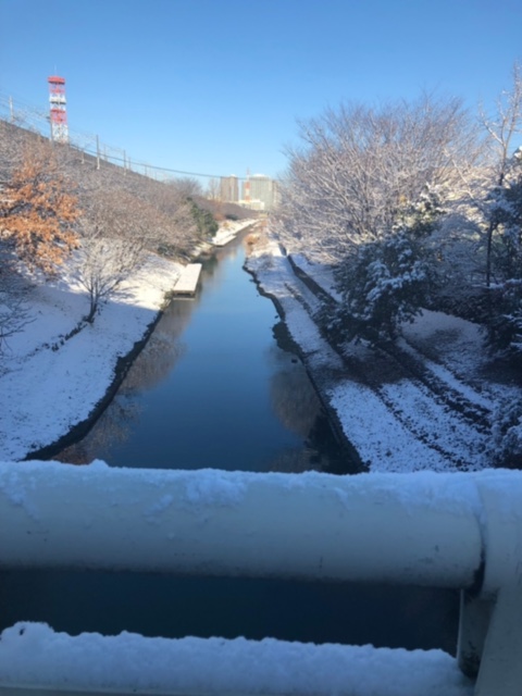 ラニーニャ現象の予報通り1月6日には関東も積雪9ｃｍの雪化粧となりました(さいたま）