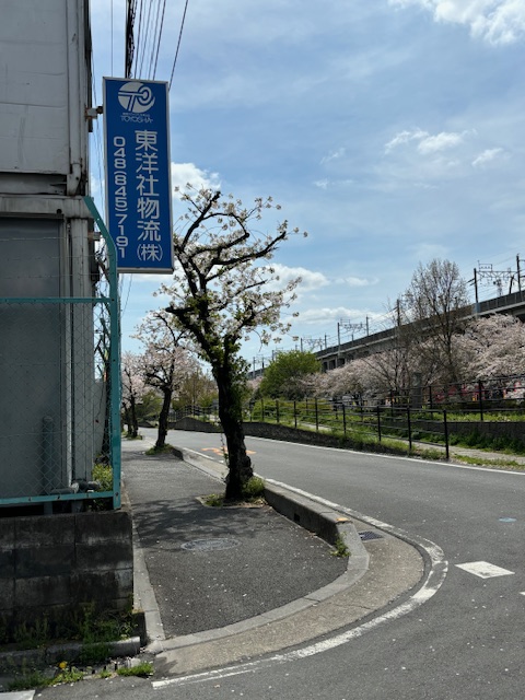 関東本社・さいたま営業所、恒例の今年の桜です。毎年和ませてもらっています。